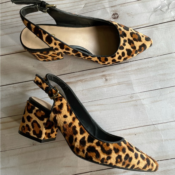 Aldo leopard print pointed chunky heels - Picture 4 of 6